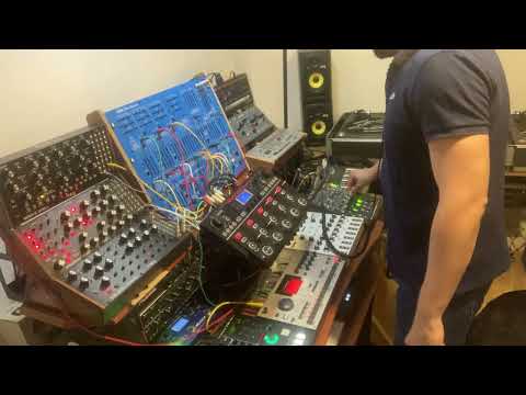 My dog prefers deep house LMAO [1 hour techno dawless jam] // Moog 3 // Elektron // Soma