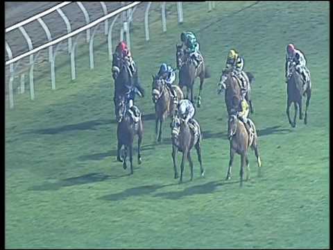 Galoppo 28/01/2017 - 6ª corsa