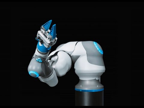 BionicTurtleWalker Review Video 1