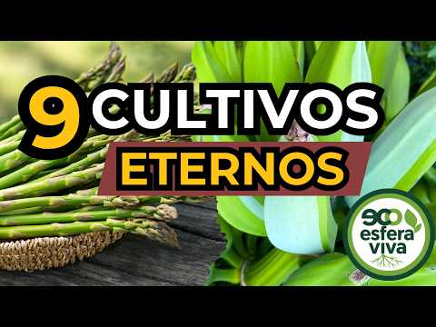 9 Perennial Powerhouses: Never-Ending Harvests!