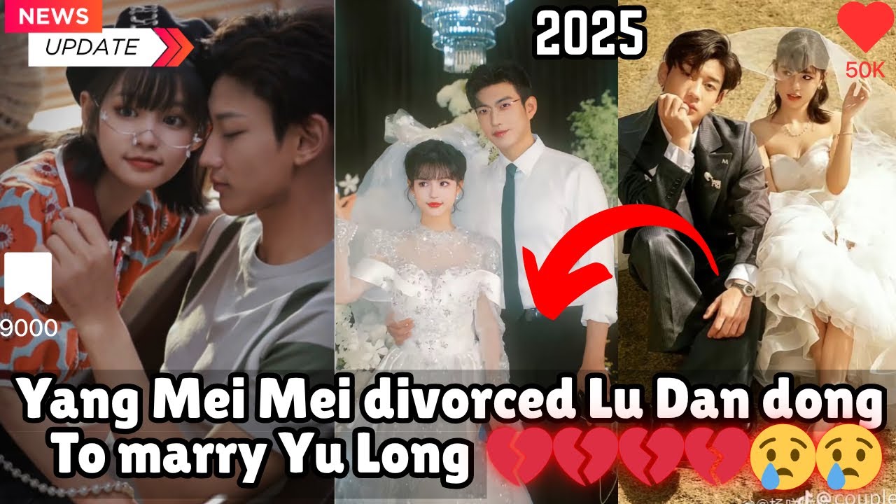 Yang Mei Mei Divorces Lu Dan Dong to Marry Yu Long – The Full Story