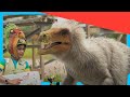 Dex Dana S T Rex Surprise Dino Dex Dinosaurs Adventures For Kids