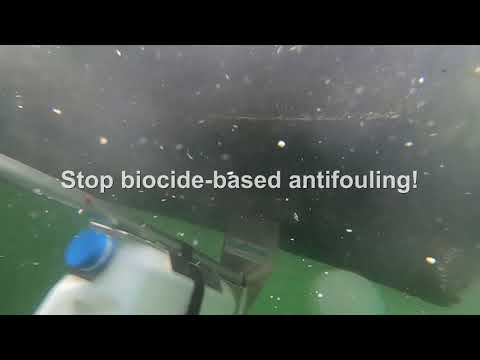 Brushing biocides