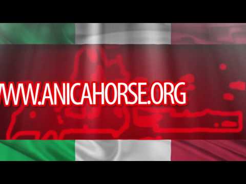 Promo Italian National Championship of Arabian Horse