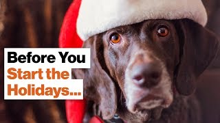 Conversation Tips for Surviving the Holidays | Angie McArthur