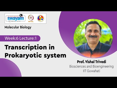Molecular Biology Introduction Video
