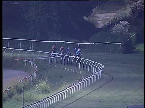 Galoppo 03/08/2019 - 6ª corsa