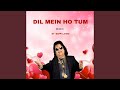 DIL MEIN HO TUM