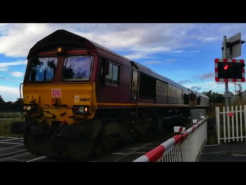 66164 & 66120 passing Romanby Road LC