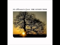 The Mountain Goats - You or Your Memory