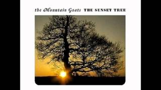The Mountain Goats - You or Your Memory
