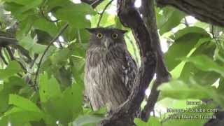 Wonderful World of Nature These are a few captures from my last holidays beautiful animals