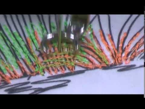 Nancy Prince: First Flowers