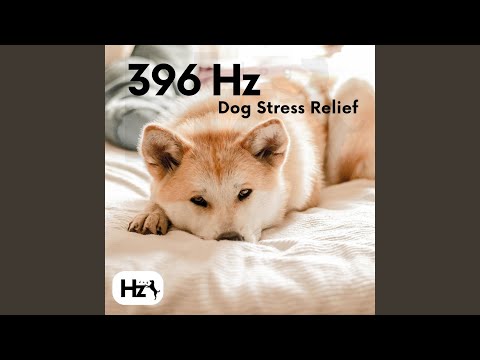 396 Hz Dog Music