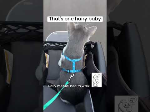 080424 Mental health walk hairy baby