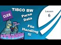 TIBCO BusinessWorks DataFormat ParseData File Handling ReadFile FilePoller Lesson 6