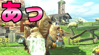 『ネコ嬢』ムーファから求愛されてしまう　モンスターハンターダブルクロス　のりおもちXX編　part4 【MHXX】