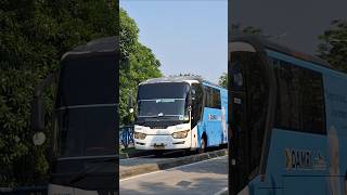 Download lagu naik bus damri lagi #bus #telolet #busmania #basuri #damri mp3 Download lagu naik bus damri lagi #bus #telolet #busmania #basuri #damri mp3
