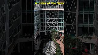 Wonder of the Seas - Our Favorite Places - Vacation Minute by ExplorerVacations 4K HDR #shorts