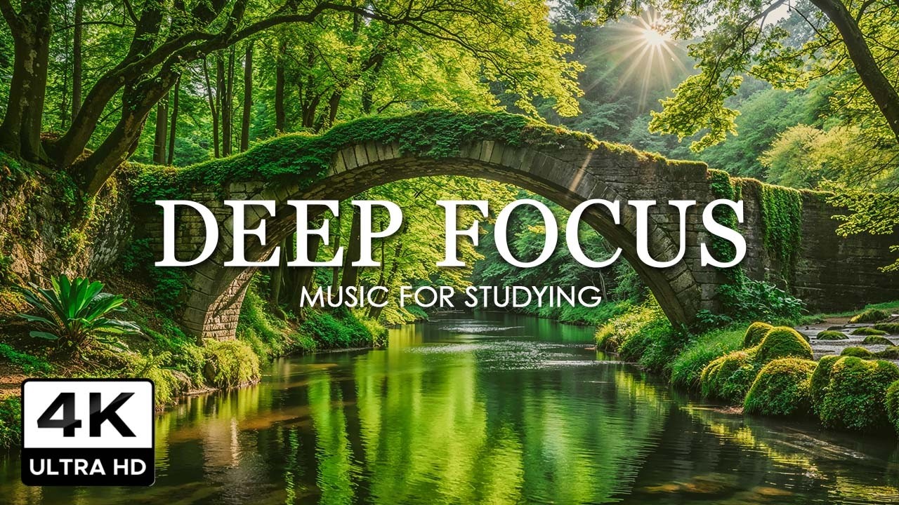 Deep Work Music for Concentration - 12 Hours of Ambient Study Music to Concentrate #61