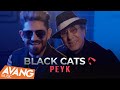 Black Cats - Peyk OFFICIAL VIDEO | بلک کتس - پیک
