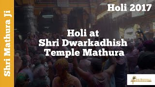 Brij Ki Holi at Shri Dwarkadhish Temple Mathura 2015 Part I