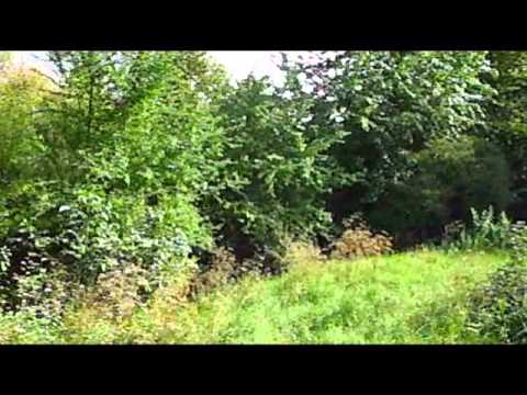 Thomas Richter - canlowankiya - Ablakela