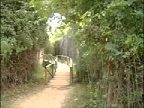 Luis Miguel del Amargue Por esos Caminos bachata clasica by Anadency