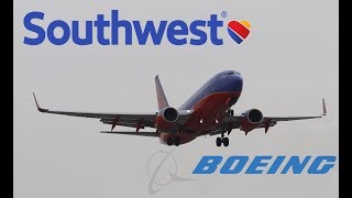 Southwest Airlines Boeing 737-7H4(WL) [N460WN] Landing in Los Angeles