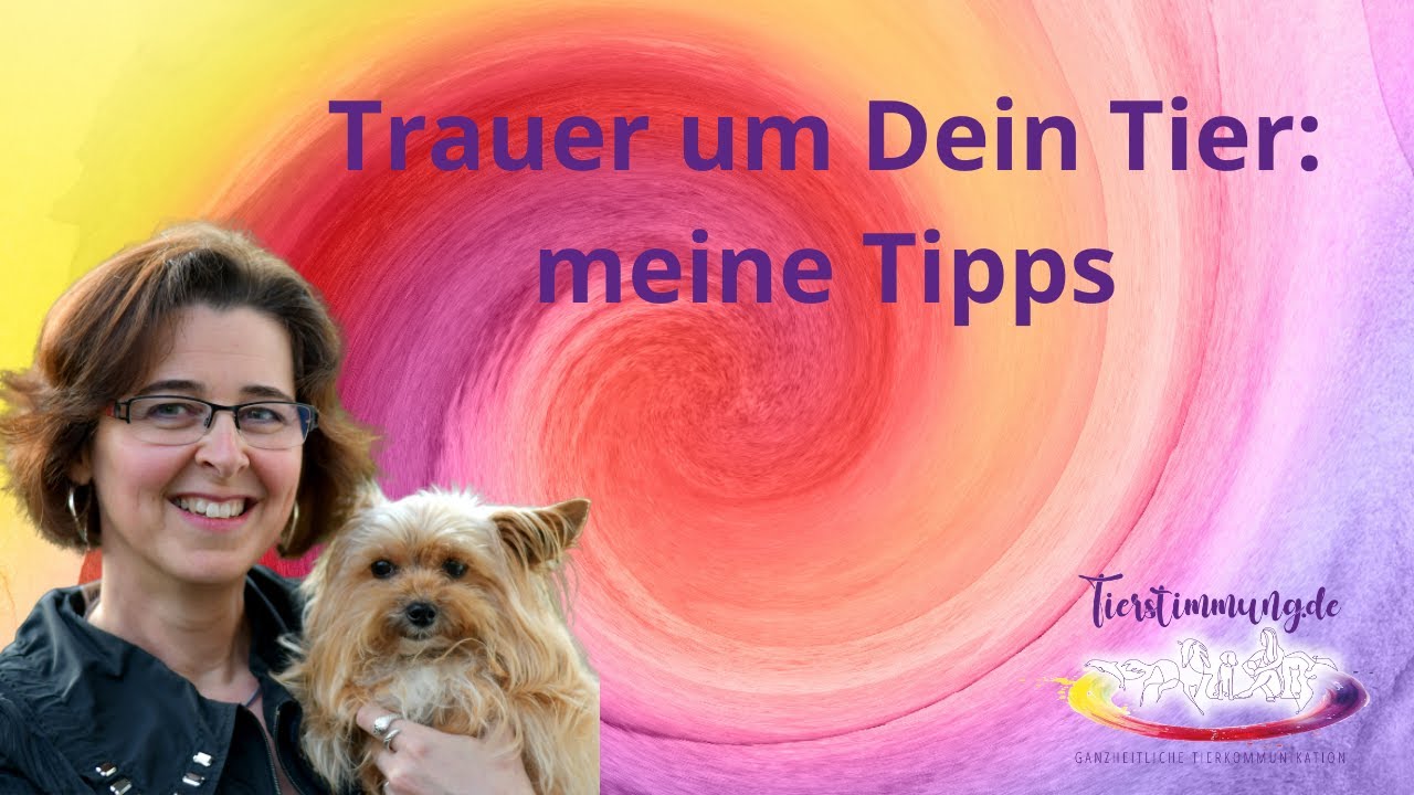 Tierkommunikation – Wenn Dein Tier gestorben ist : meine Tipps 💔