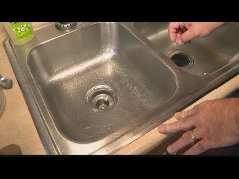 ショウジョウバエとドクバエに対処する方法