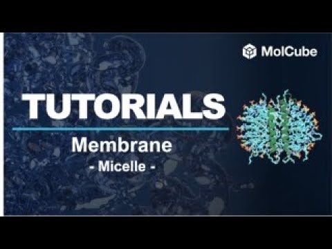 03. Membrane Builder - Micelle