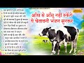 नॉनस्टॉप सत्संगी भजन | Nonstop Satsangi Nirgun Bhajan | Satsangi Bhajan| चेत