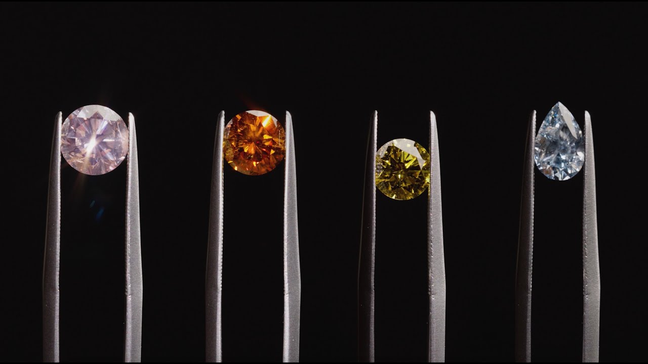 The Rainbow Collection