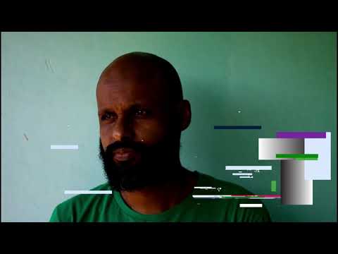 Fabio Emecê - Vida Luxuriosa (Visualizer)