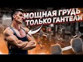 Лучшие Упражнения На Грудь С ГАНТЕЛЯМИ