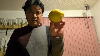 Weird Lemons From my Lemon Tree