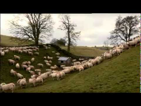 Lambing Live 2011 Highlights Part 3
