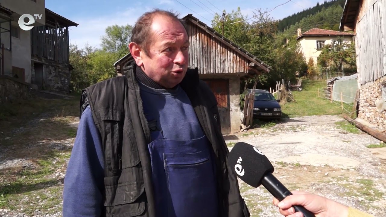 Мечката пак нападна в Арда, местните искат отстрела й