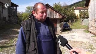 Мечката пак нападна в Арда, местните искат отстрела й