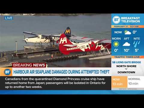 Seaplanes damaged during attempted theft