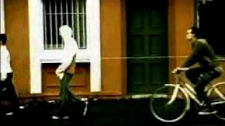 I Know What You Need - Shane Nicholson