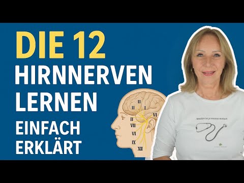 The 12 cranial nerves explained simply – key points & functions | Dr. Claudia Bignion
