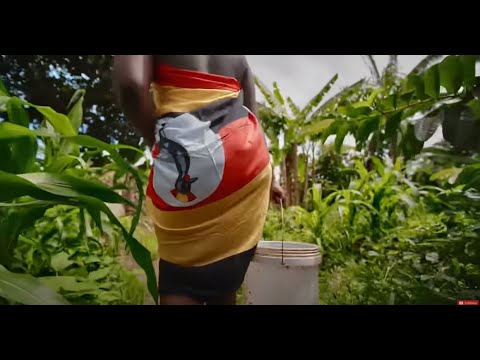 Okwepicha - Gravity Omutujju (Official Music lyrics)