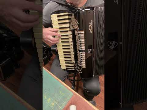 Accordion Noble Double tone chamber image 16