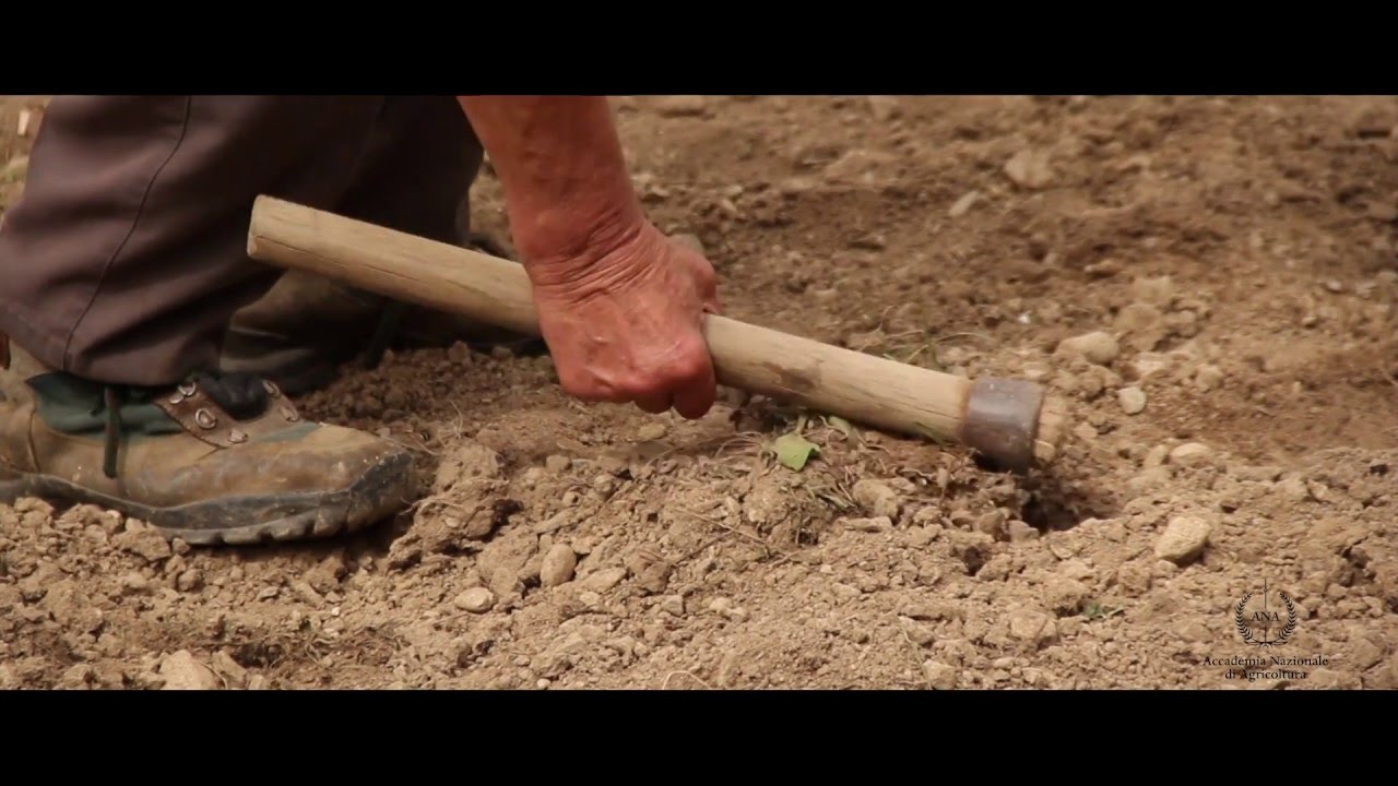 Accademia Nazionale di Agricoltura - Video istituzionale