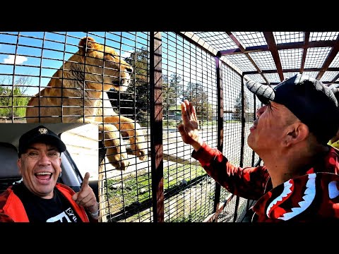 UNCLE RENE ON SAFARI🦁🤍