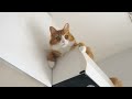 Clip 2