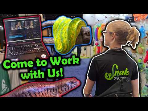 Pet Expo to Snake Breeding: A 24-Hour Setup Guide
