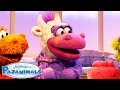 A Scary Dream SONG Pajanimals